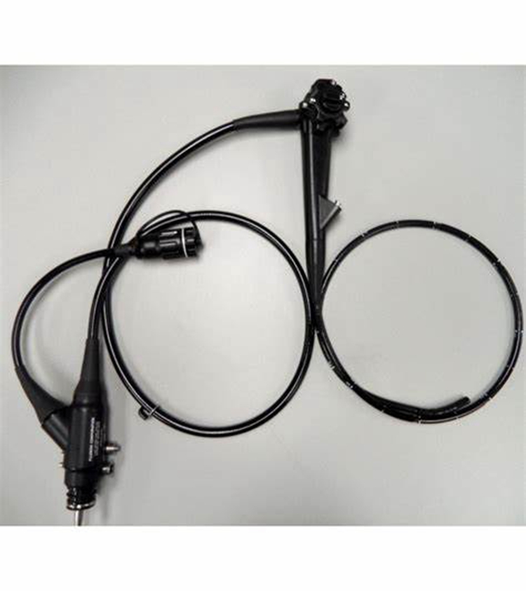 OIP-C (1)166.jpg