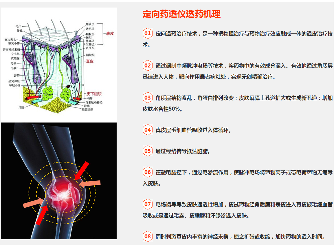 捕獲t2.PNG