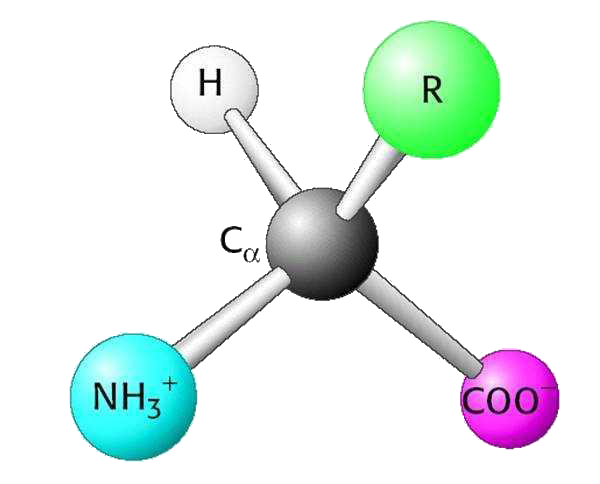 1758851445788269.png 1.png